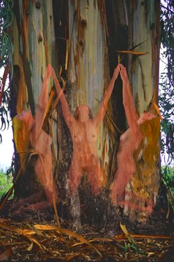 Girls in the Trees - Limited Edition Photographic Art by Christopher Strong